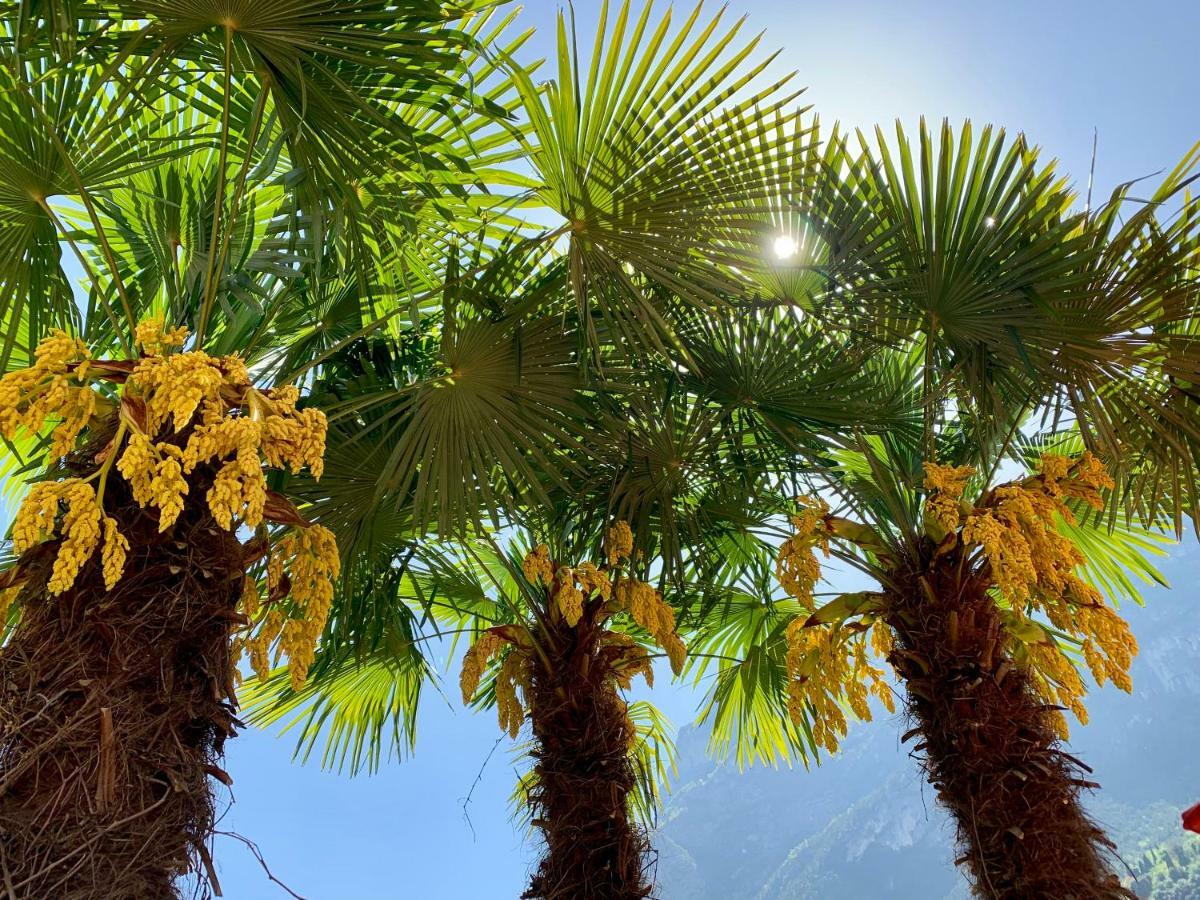 Albola Suite Holiday Apartments Riva del Garda Exterior foto
